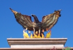 Ave Fenix